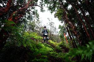 BIB: 
                            <button type="button" onclick="openModal(26201351)" class="btn btn-primary btn-sm float-right btn-popup" data-toggle="modal" data-target=".modal-high-quality">
                        <i class="fas fa-shopping-cart"></i> Add to Cart
                    </button>
                                            <button type="button" onclick="isThisMe(26201351, true)" class="btn btn-success btn-sm float-right btn-popup btn-isme hidden" data-toggle="tooltip" data-placement="bottom" title="นี่คือรูปของคุณใช่ไหม คลิกที่นี่เพื่อเอาเข้าอัลบั้ม">
                        <i class="fas fa-plus"></i> Add to album
                    </button>
                    <button type="button" onclick="isThisMe(26201351, false)" class="btn btn-warning btn-sm float-right btn-popup btn-isnotme hidden">
                        <i class="fas fa-ban"></i> Remove from album
                    </button>